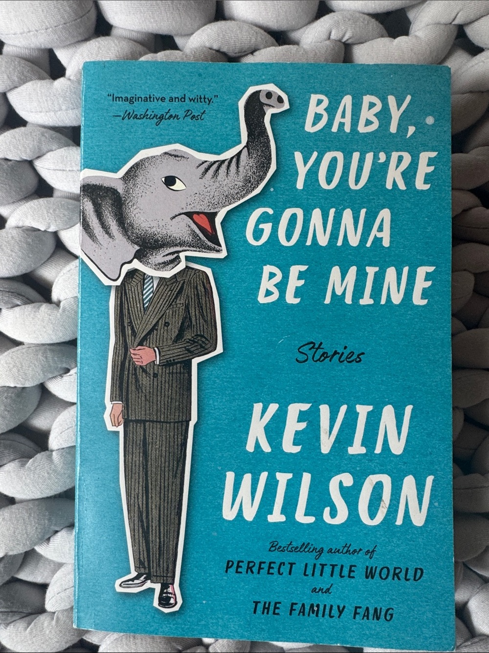 Baby, You're Gonna Be Mine by Kevin Wilson - Teal Cover books are BOGO (limit 1